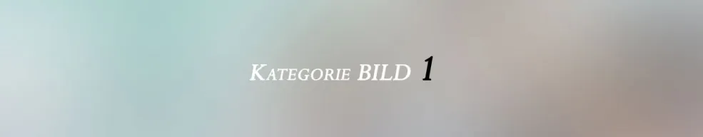 Artikel (Shop-Standard)